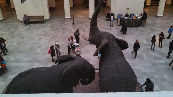 field-museum-with-charlotte_8770400389_o