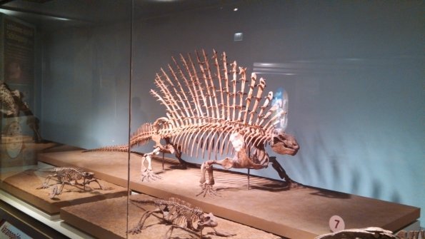 field-museum-with-charlotte_8776963814_o