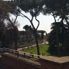 Rome (18)