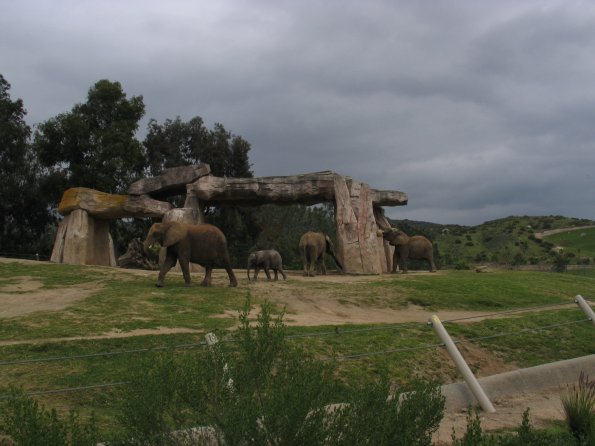 Elephants