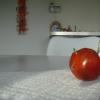 Trees & Tomato 011