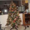 Xmas 12 22 2010 009